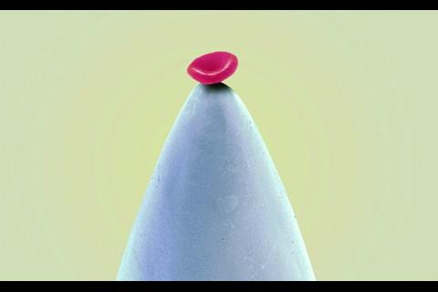 Blood cell